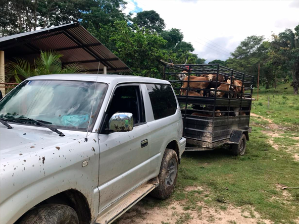 tiro de arrastre en acero para llevar ganado